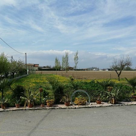 Villa La Carlottina Codevigo Esterno foto